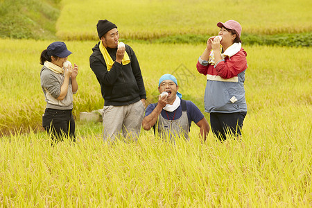 收割水稻过程中休息吃饭的农民图片