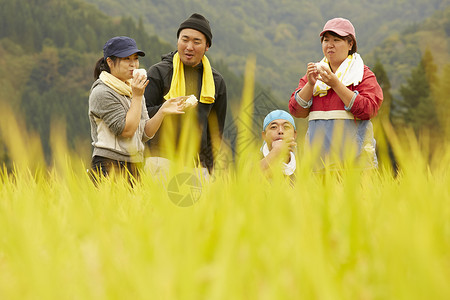 收割水稻过程中休息吃饭的农民图片