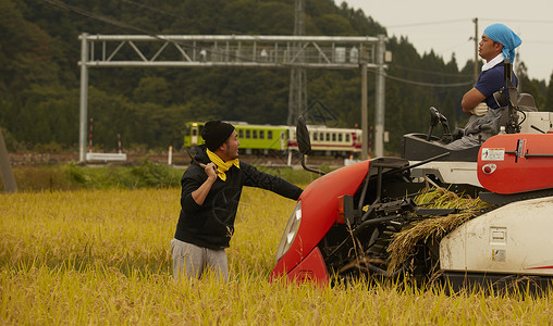 人类农场机械联合收割机水稻收获风光图片