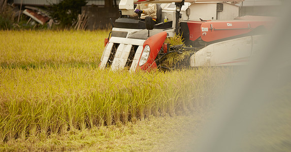 收割水稻的大型农作机器高清图片