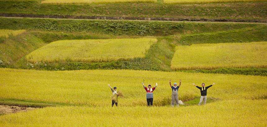 田间农民远景图片