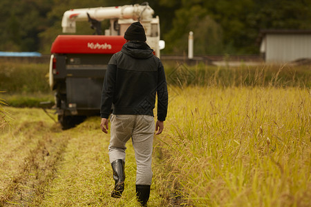田间劳作的农民图片