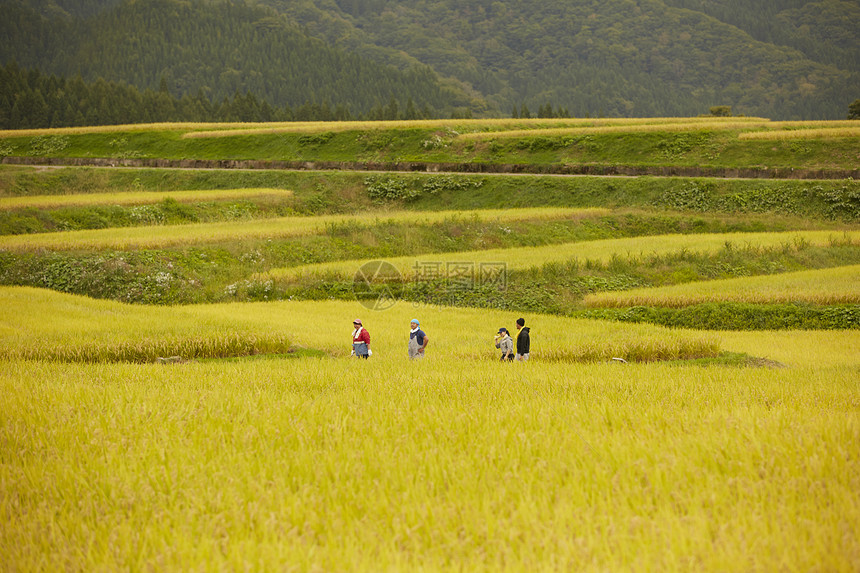 田间劳作的农民远景图片