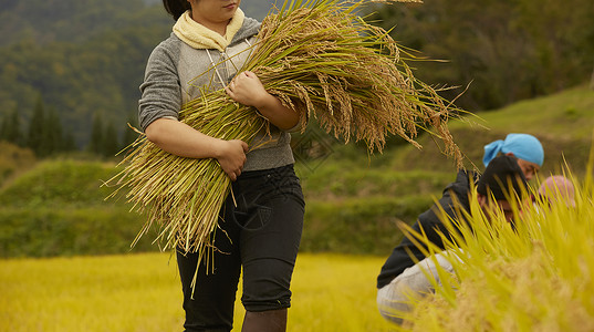 田间劳作的农民们图片