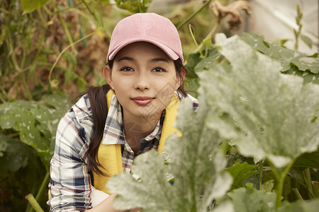 在田里劳动的妇女形象图片