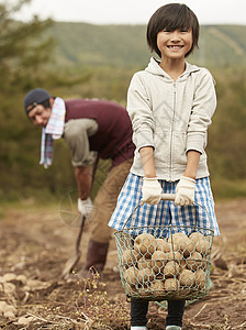 一家人在地里挖土豆农业高清图片素材