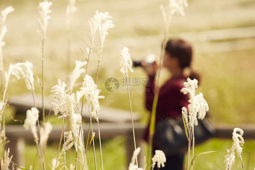 女性青年在户外旅游观光图片