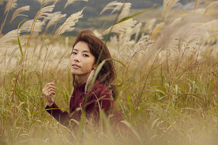 野外芦苇丛中的年轻女人背景图片