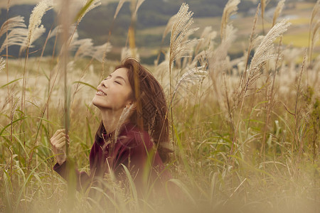 野外芦苇丛中的年轻女人北背景图片