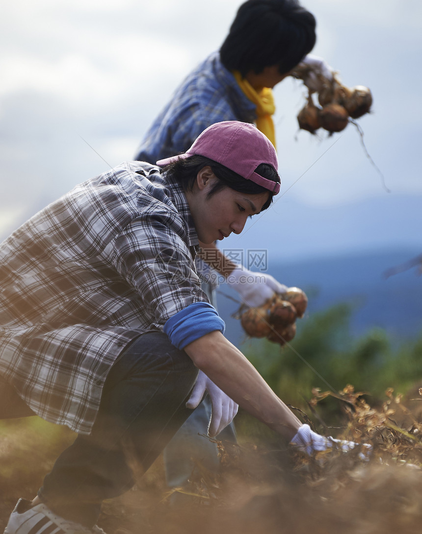 地区男人体验农业经验的年轻人图片