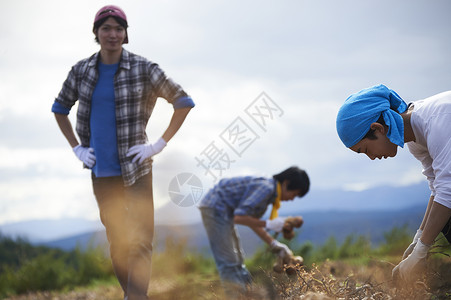在农田收割谷物的农民图片