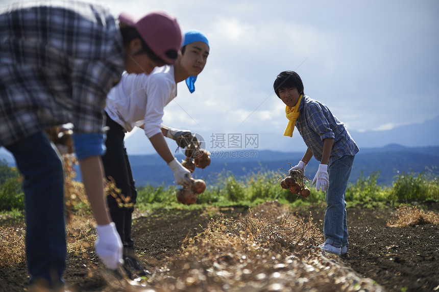 青年人体验农业种植图片