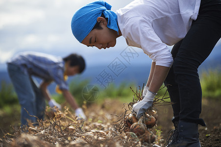 青年人体验农业种植图片