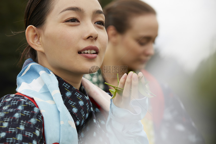 采茶女在采摘茶叶图片