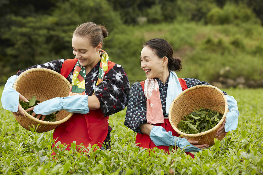  开心的两名采茶女图片