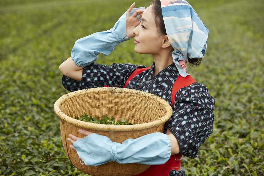  抱着竹筐的采茶女性图片