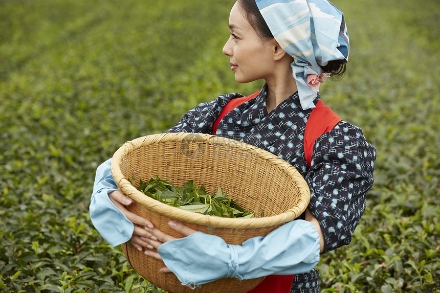 抱着竹筐的采茶女性图片