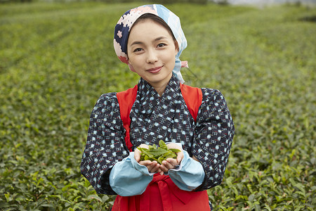 手捧茶叶的妇女图片