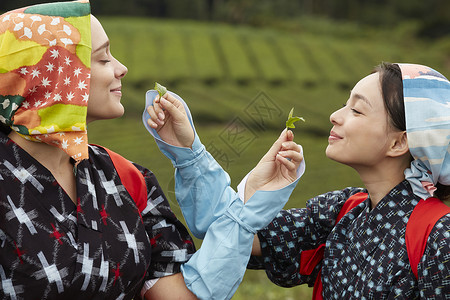 品味茶叶的女子图片