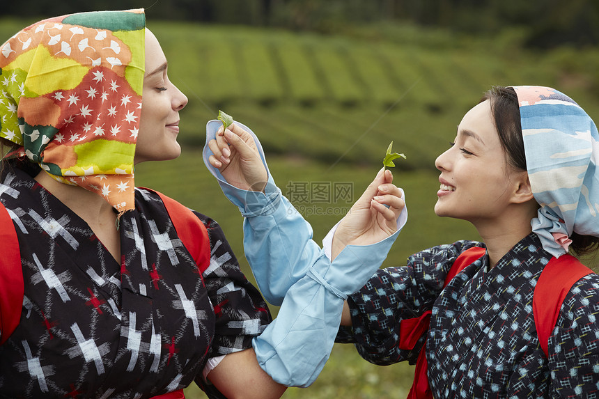 品味新鲜茶叶的女子图片