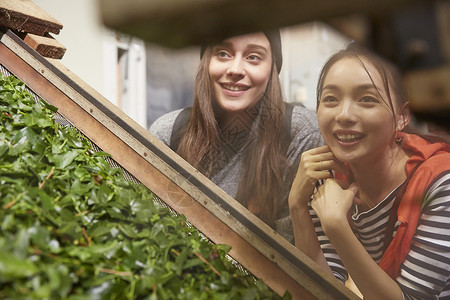 青年女子参观茶叶加工厂图片