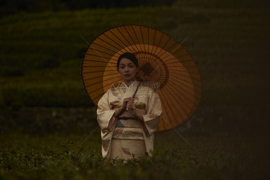 穿着和服的女子在茶园图片