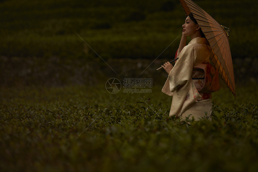 穿着和服的女子在茶园图片