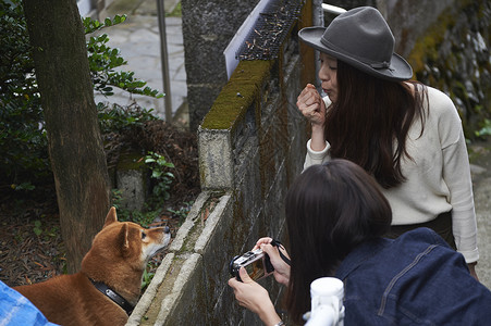 在街上漫步的朋友们给狗拍照九州长崎图片