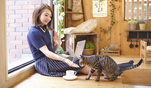 虎头帽女孩在猫咖抱着猫玩的女人背景