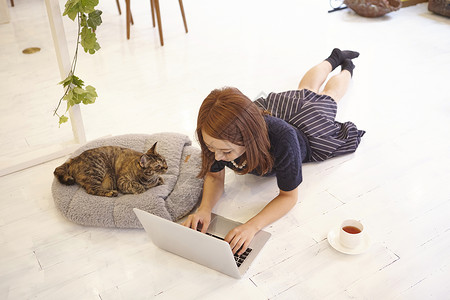 条纹猫腿在猫咖用笔记本电脑办公的人背景