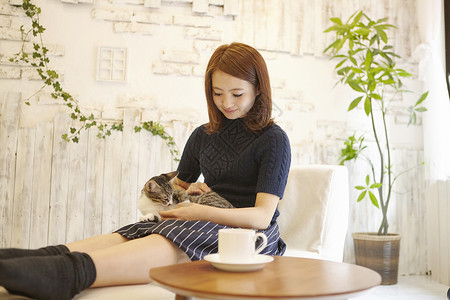 舒适乐趣可爱猫咖啡馆图片
