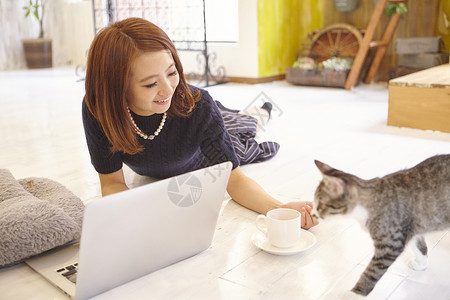 猫眯咖啡馆逗猫的少女图片