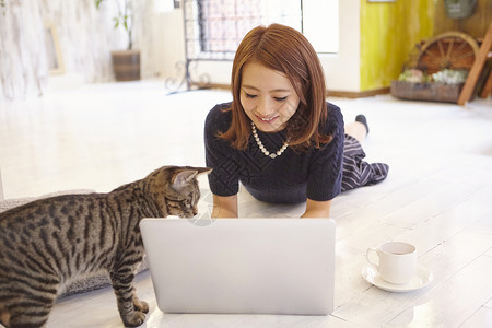 斑女人在猫咖猫看着女人办公的笔记本电脑背景