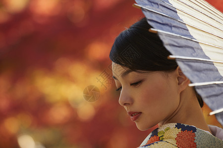 茶屋町穿着和服拿着伞的女人站在枫叶前图片