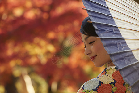 茶屋町穿着和服的女人拿着伞站在枫叶前图片