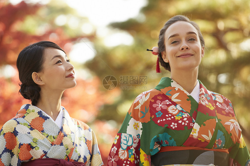 和服女人带领外国游客观赏红枫叶图片