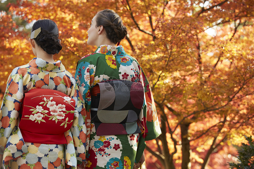 和服女人带领外国游客观赏红枫叶图片