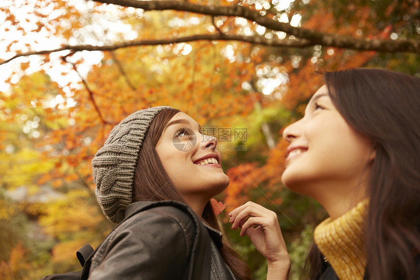 女人和外国友人一起观光欣赏枫叶图片
