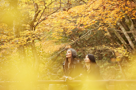 两个女人观光欣赏枫叶高清图片