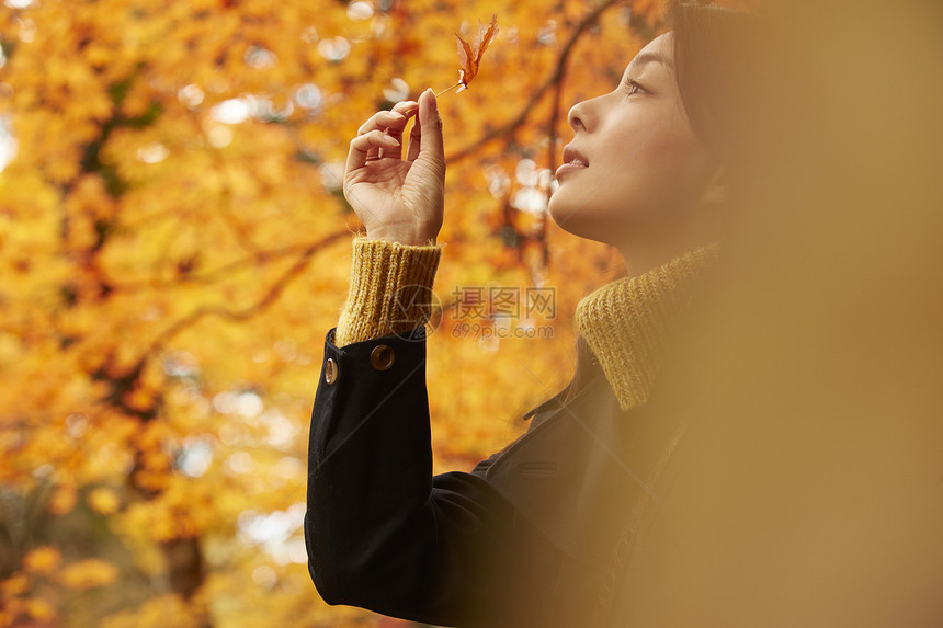 年轻女人观赏秋天枫叶图片