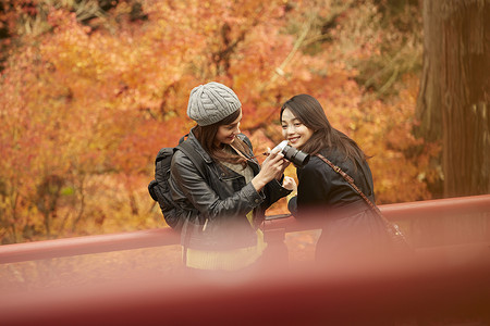 在红枫林旅游拍照的外国美女和日本美女图片