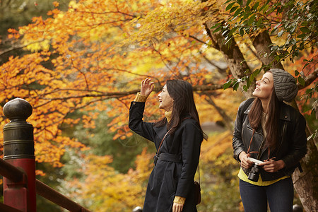 在红枫林旅游拍照的外国美女和日本美女图片