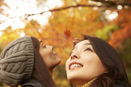 抬头仰望红枫林落叶的旅游美女图片