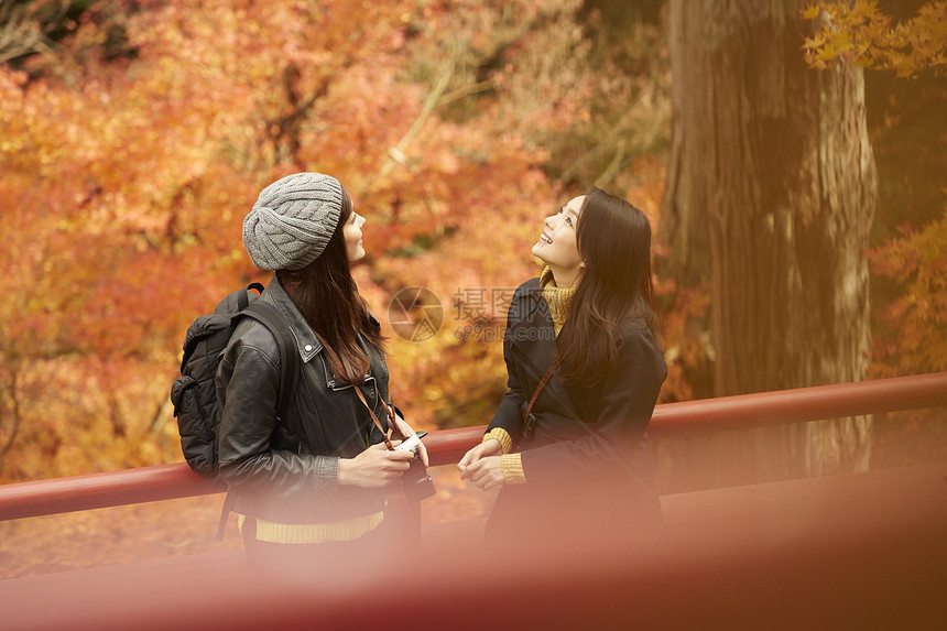 在红枫林旅游拍照的外国美女和日本美女图片