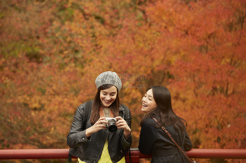 两个女人观光欣赏枫叶图片
