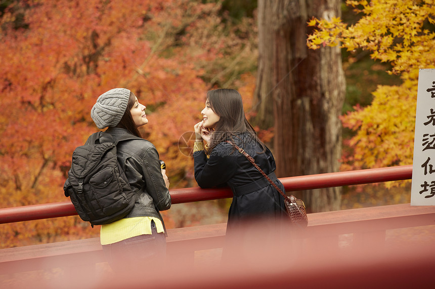 女人和外国友人一起观光欣赏枫叶图片