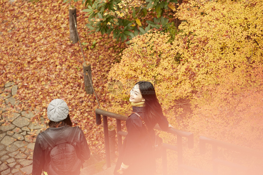 女人和外国友人一起观光欣赏枫叶图片