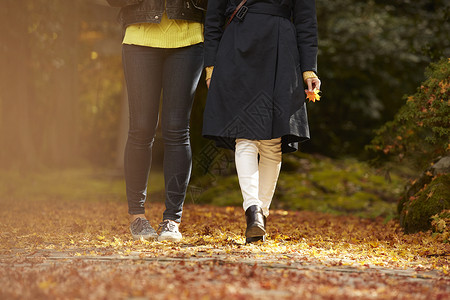 走在满是落叶的道路上的两位美女的腿部特写图片