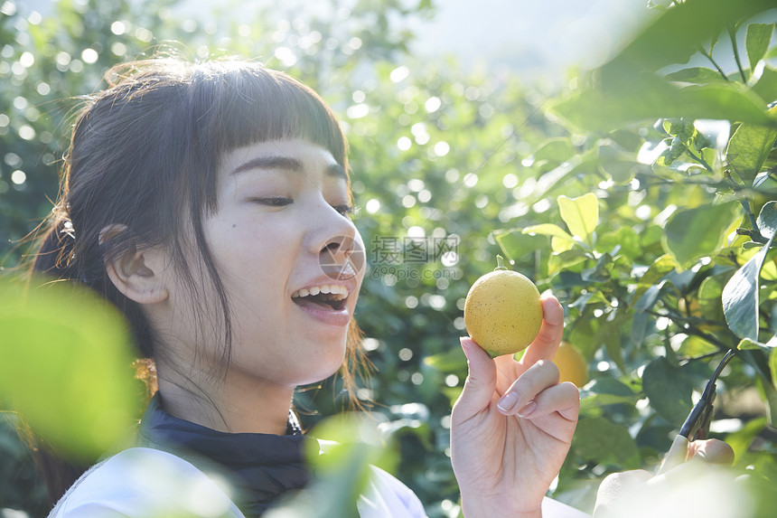 年轻女工人享受着柠檬的味道图片