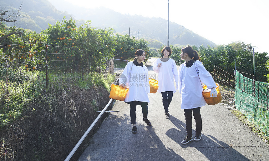 三个女人背着果篮走出水果种植园图片